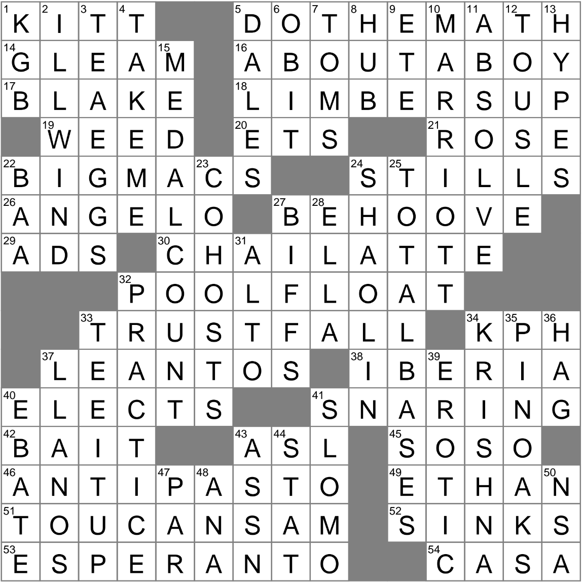 What is the Answer to the Misfortunes Crossword Clue?