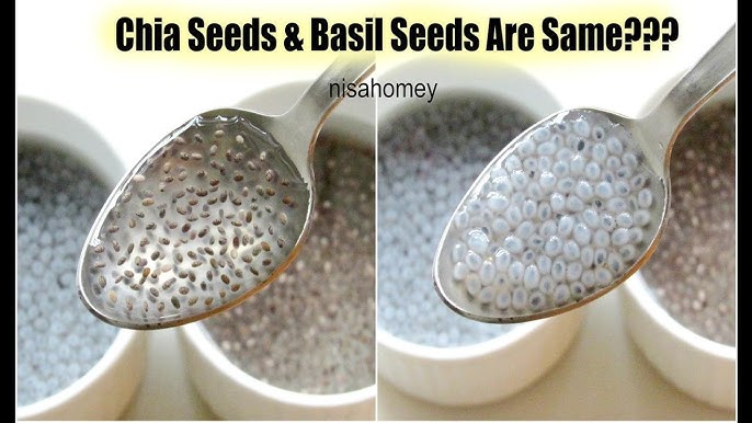 Katsu Seeds vs Chia Seeds: Whats the Difference?