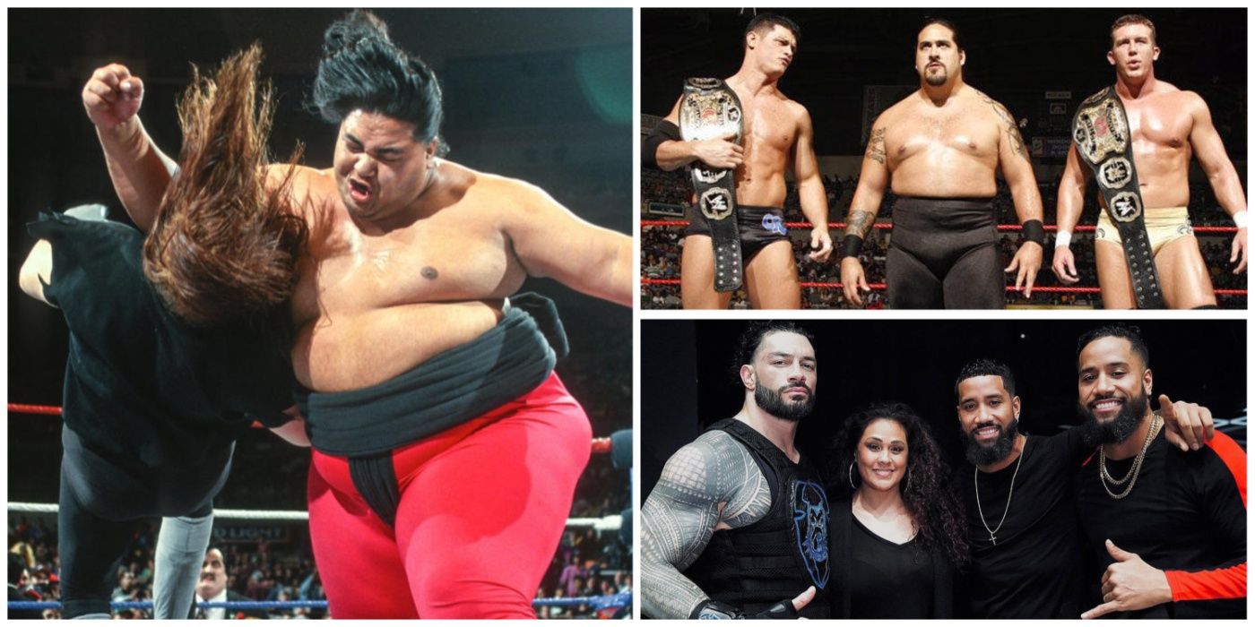 Japan Samoan Wrestlers: Are They the Next Big Thing in Wrestling?