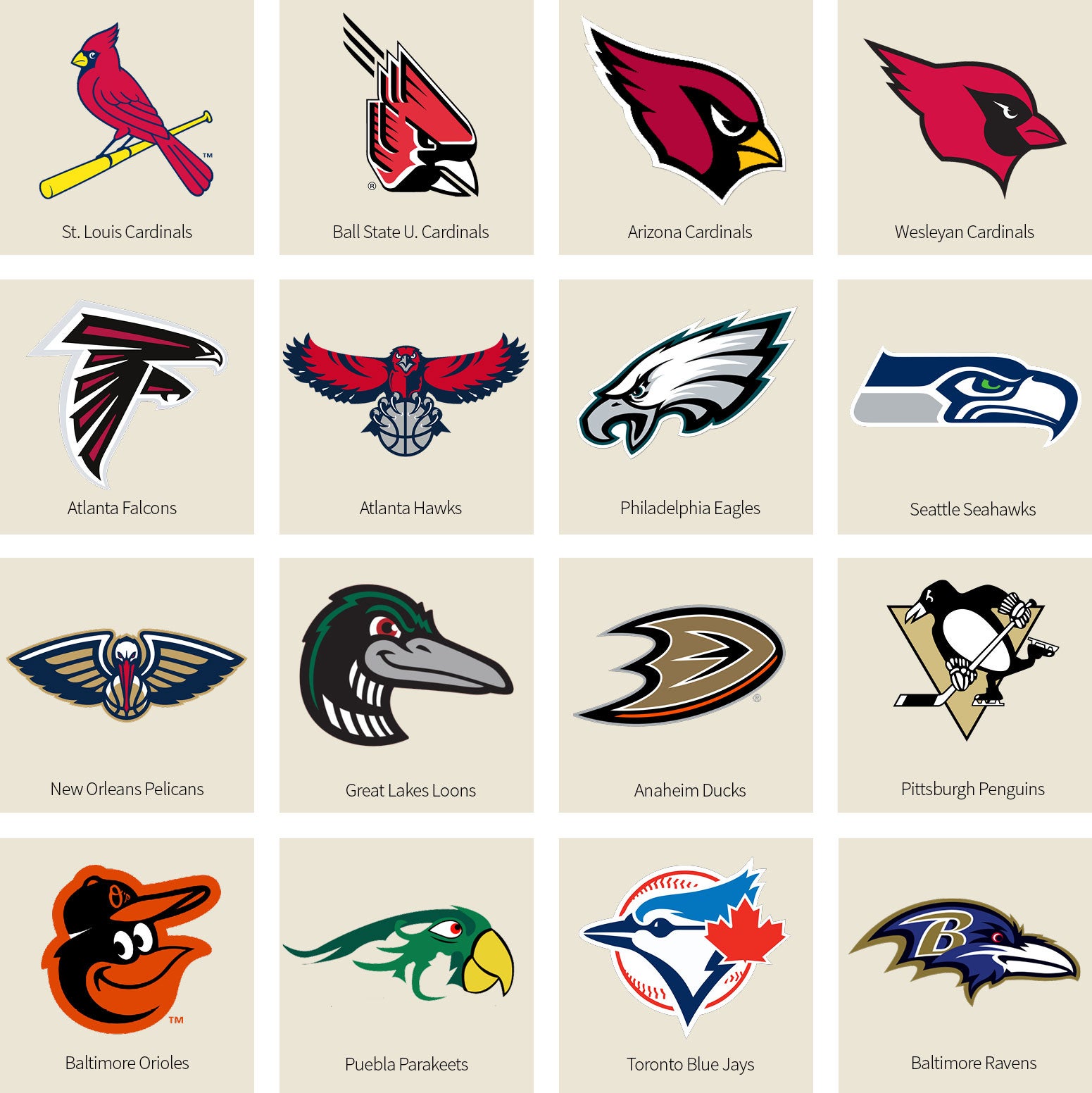 What are the NFL teams named after birds? A simple list of names for football fans.