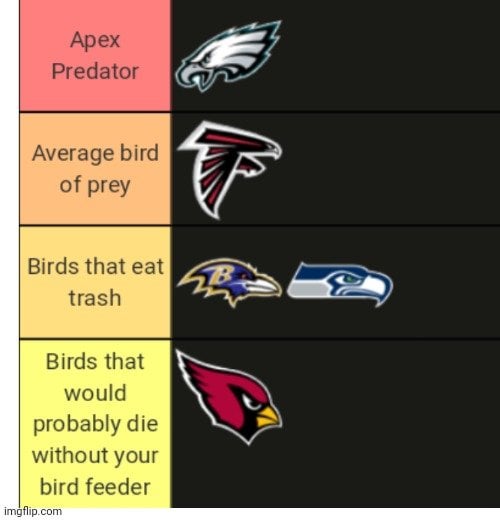 What are the NFL teams named after birds? A simple list of names for football fans.