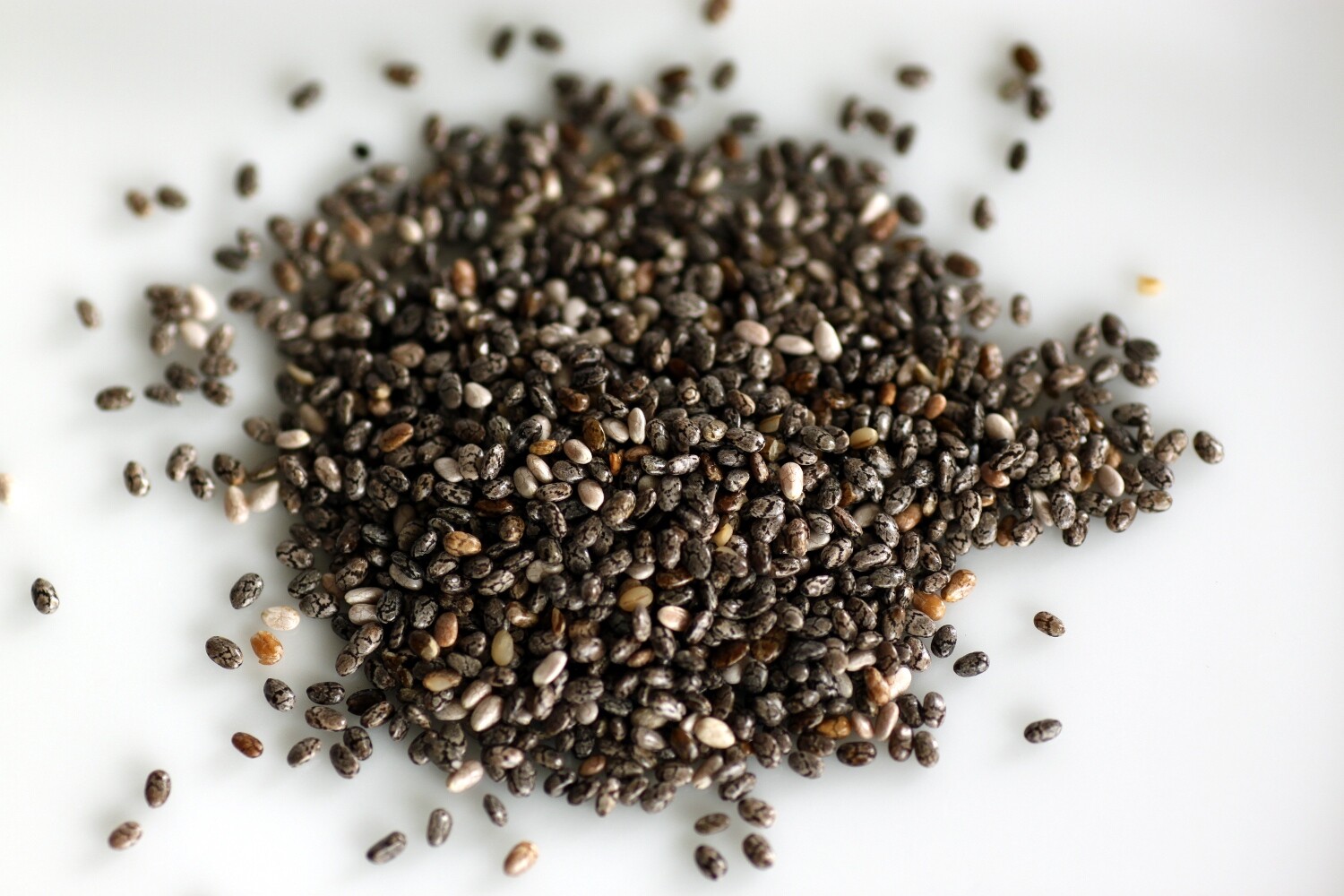 Katsu Seeds vs Chia Seeds: Whats the Difference?