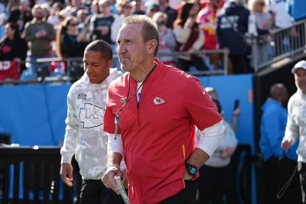 Who Is Steve Spagnuolos Wife? A Look Inside Their Relationship