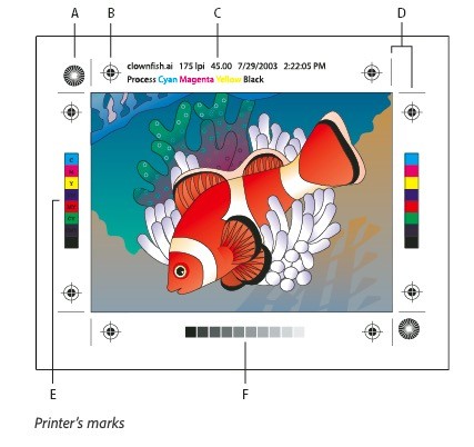 Using Bleed Sign Nexa Right (Avoid Common Printing Mistakes)