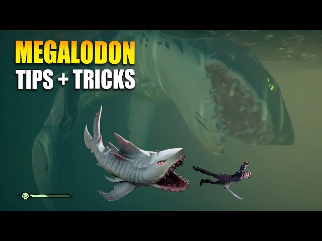 Ghost Meg Sea of Thieves Tips (Easy Guide to Beat This Boss)