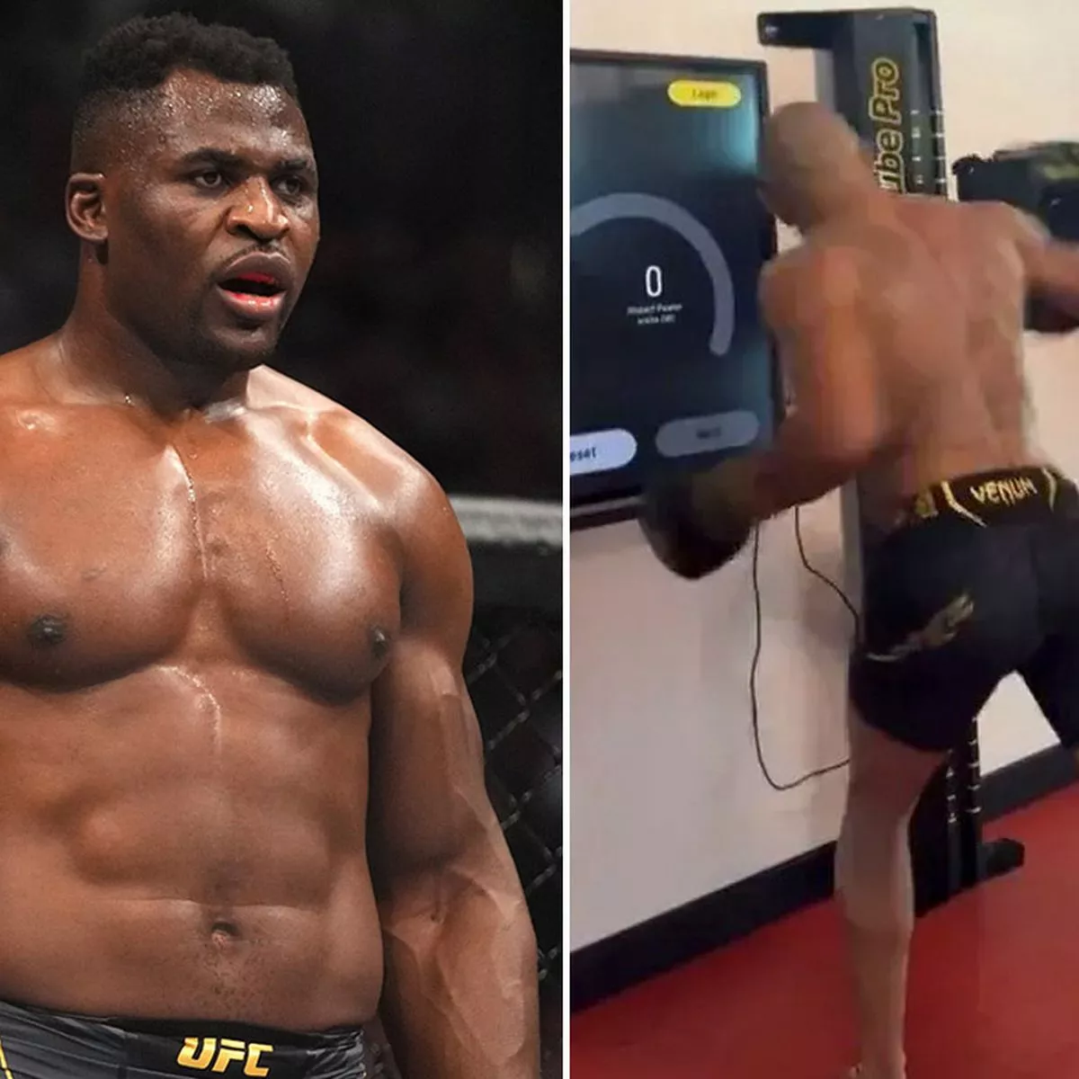 Francis Ngannou Punching Power: Can It Be Measured (Here Is the Truth About It)