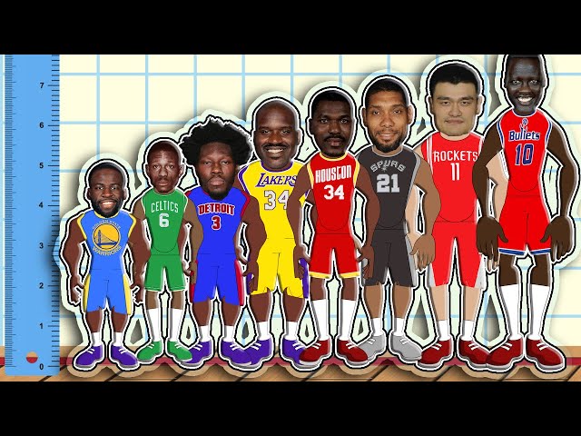 Whos the shortest center in the NBA? Learn about their unique playing style.