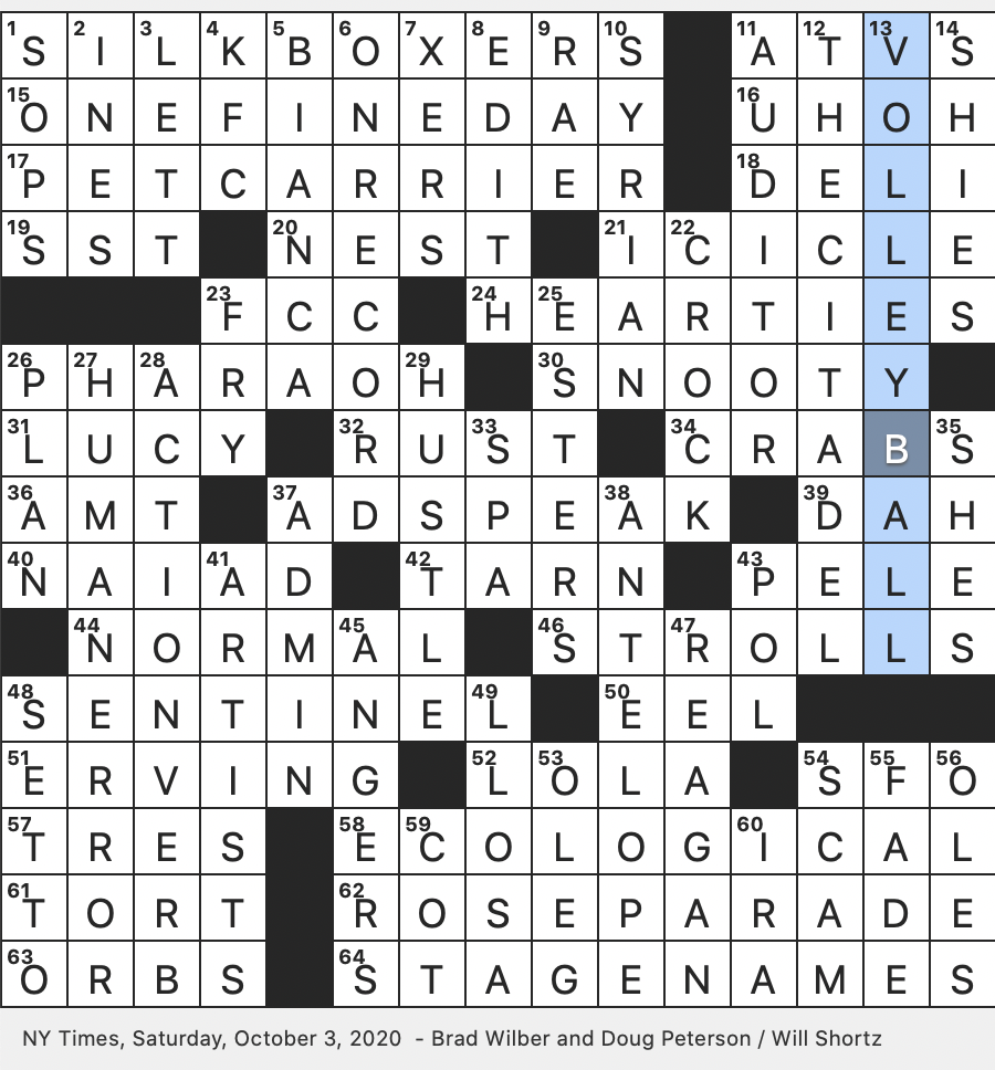 Bubbles on a Beach NYT Crossword: Get the Answer Right Now!