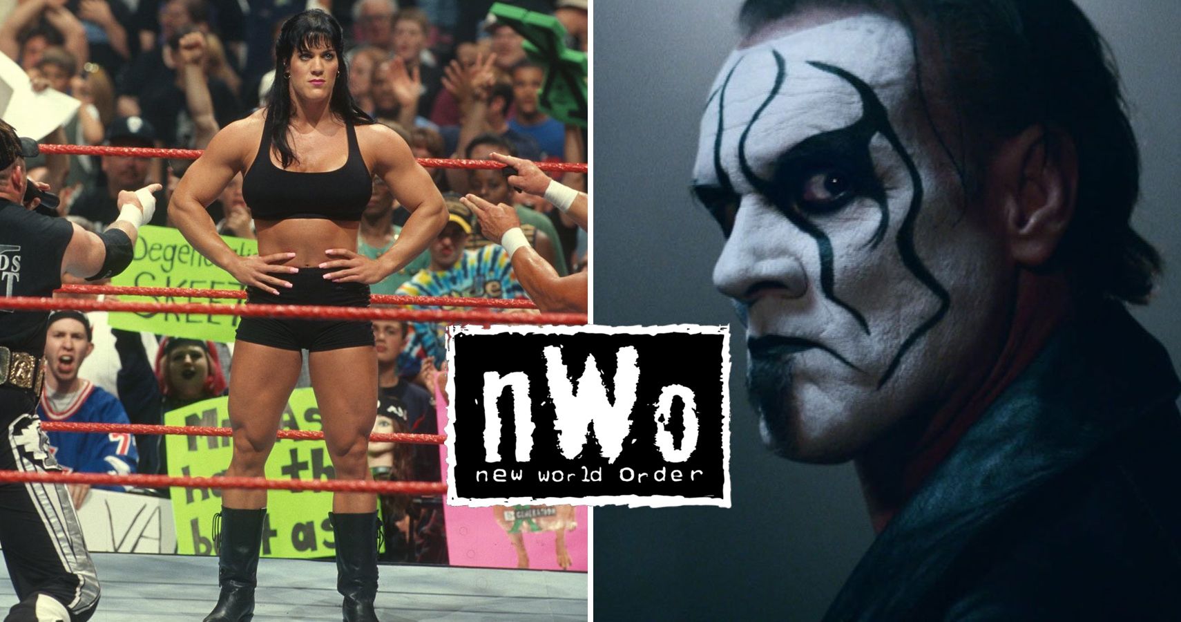 Discover the n.w.o wrestling members,the shocking and Unforgettable facts.